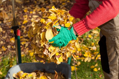 Eco-friendly office disposal methods